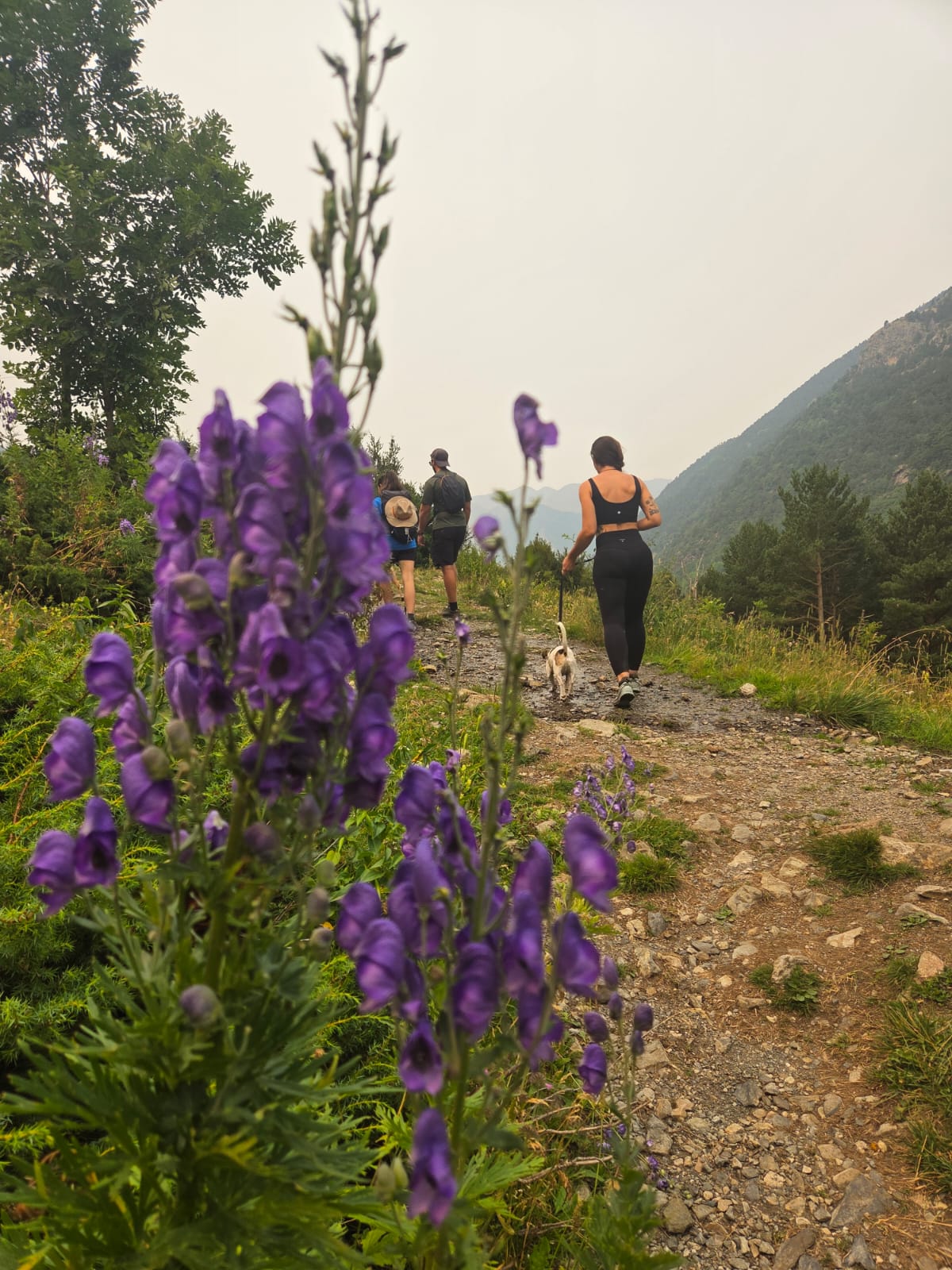 TREKKING PIRINEOS SENDERISMO GUIADO MONTSEC Y PIRINEOS